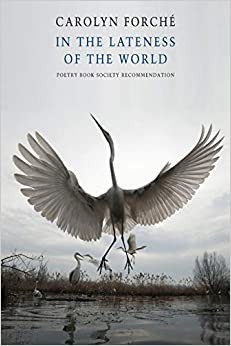 Cover of In the Lateness of the World