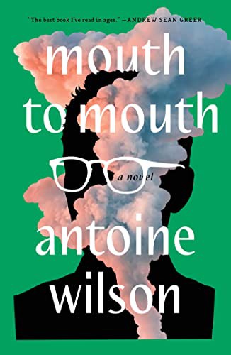 Cover of Mouth to Mouth