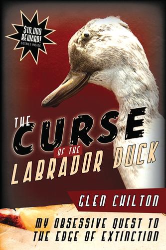 Cover of The Curse of the Labrador Duck