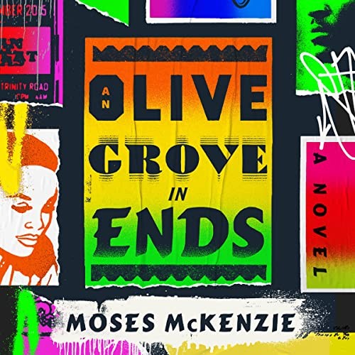 Cover of An Olive Grove in Ends