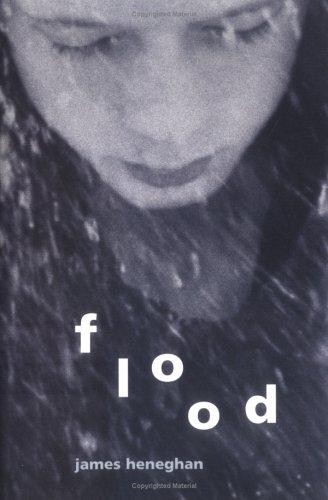 Cover of Flood