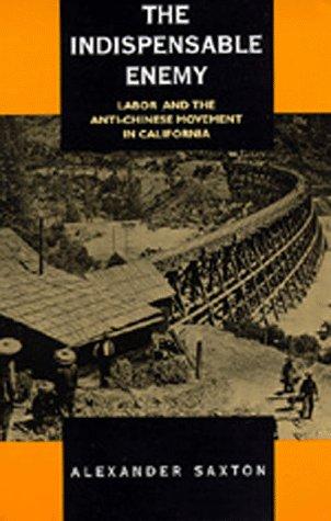 Cover of The Indispensable Enemy