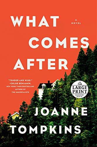 Cover of What Comes After
