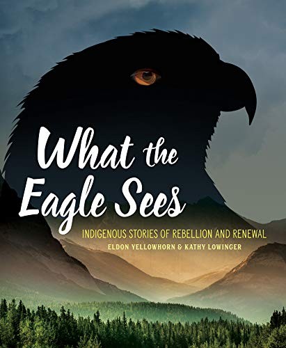 Cover of What the Eagle Sees