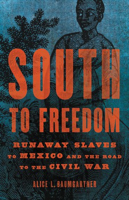 Cover of South to Freedom