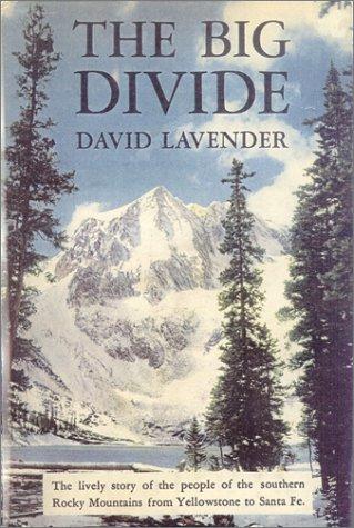 Cover of The Big Divide