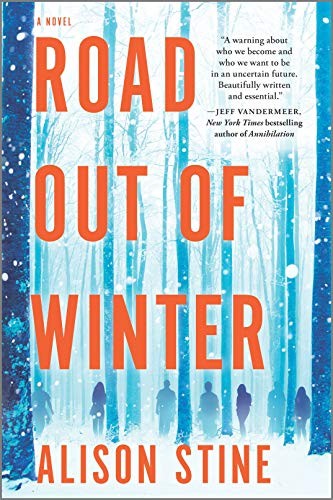 Cover of Road Out of Winter