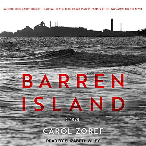 Cover of Barren Island