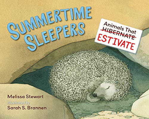 Cover of Summertime Sleepers