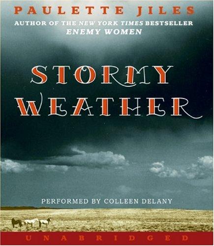 Cover of Stormy Weather