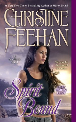 Cover of Spirit Bound