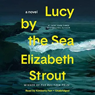 Cover of Lucy by the Sea