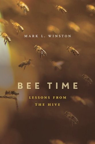 Cover of Bee Time: Lessons from the Hive