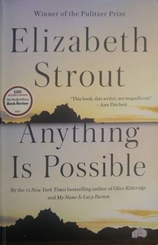 Cover of Anything Is Possible