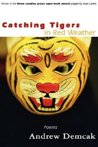 Cover of Catching Tigers in Red Weather