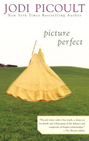 Cover of Picture Perfect