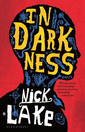 Cover of In Darkness