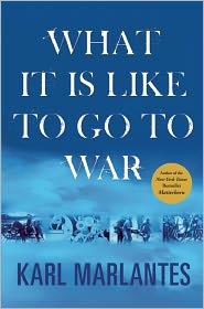 Cover of What It is Like to Go to War