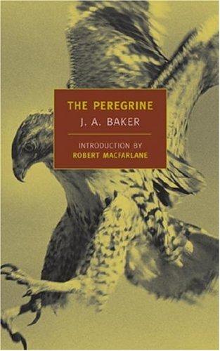 Cover of The Peregrine