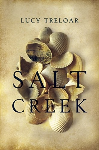 Cover of Salt Creek
