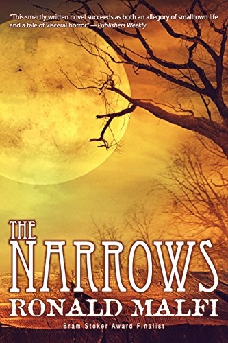 Cover of The Narrows