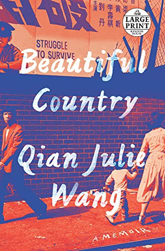 Cover of Beautiful Country