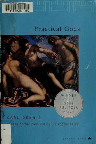 Cover of Practical Gods
