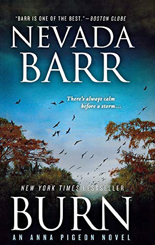 Cover of Burn