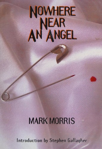 Cover of Nowhere Near an Angel
