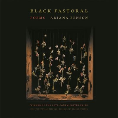 Cover of Black Pastoral
