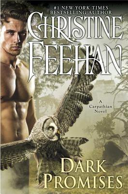 Cover of Dark Promises