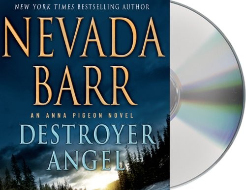 Cover of Destroyer Angel