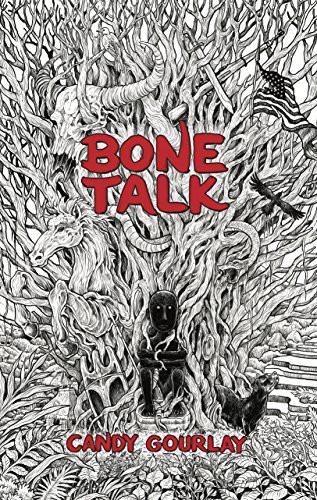 Cover of Bone Talk