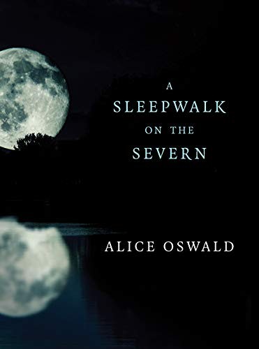 Cover of A Sleepwalk on the Severn