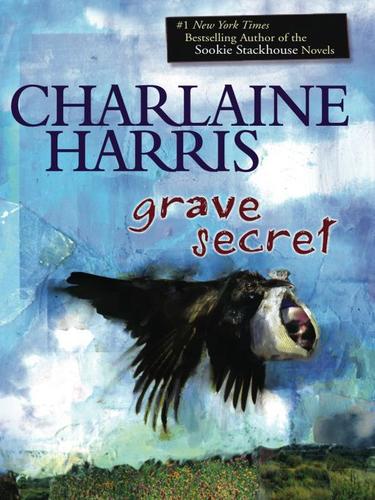 Cover of Grave Secret