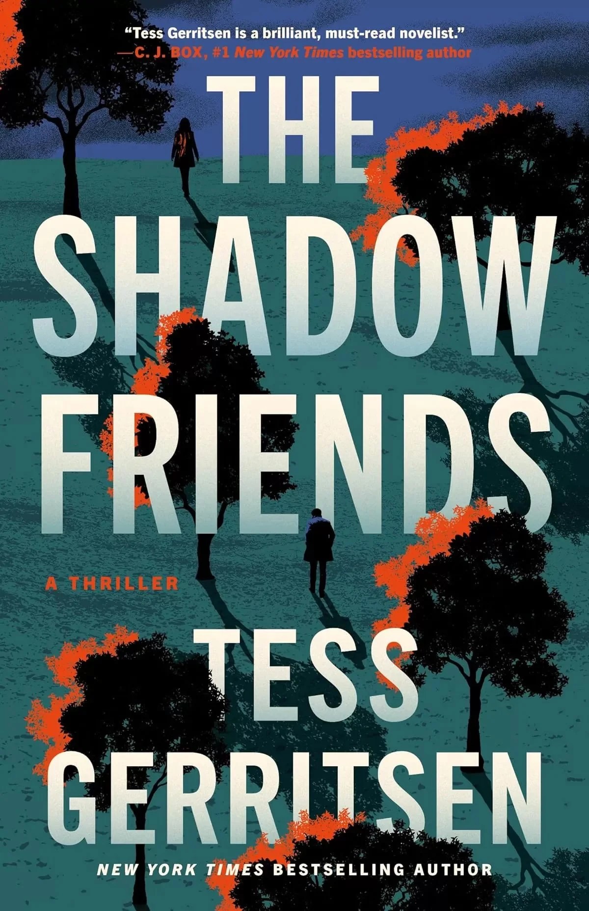 Cover of The Shadow Friends